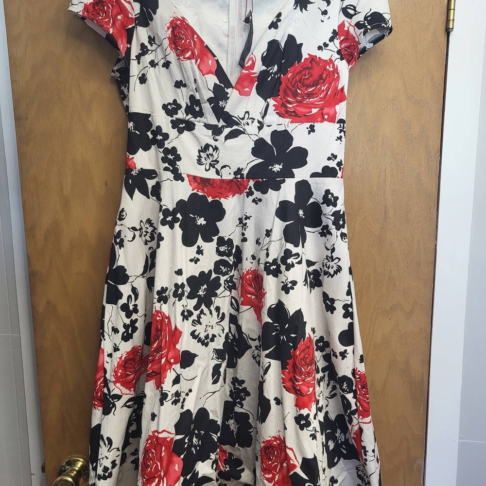 Classic Red Rose Print Fit-and-Flare Dress - White/Black/Red